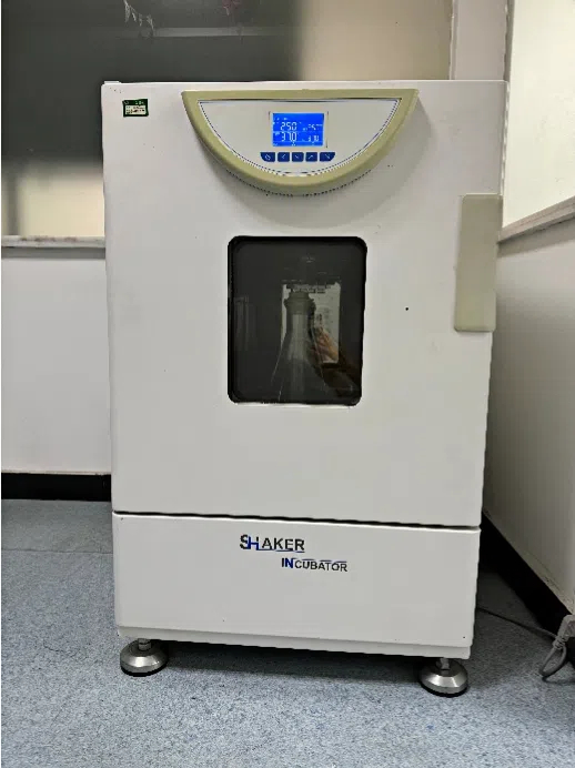 临床稽查,质量一致性评价